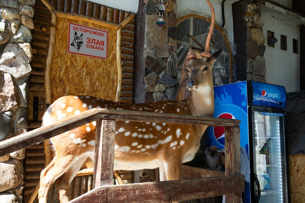 Photograph by Туева Наталья