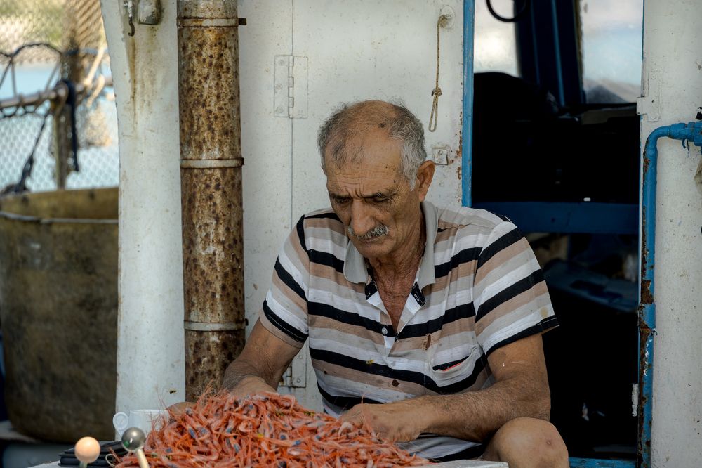 Photograph by Raimonds Dambis