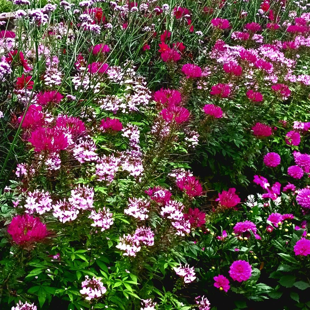 Фотография автора Maks Lanister