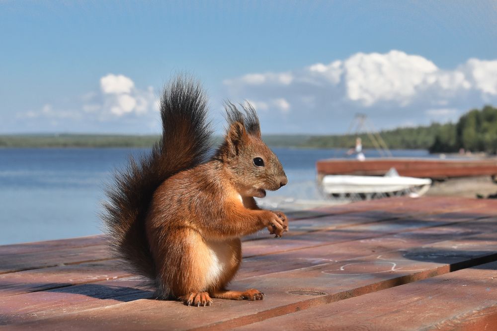 Photograph by Olga Akhmetova