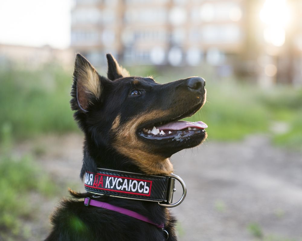 Photograph by Павел Бахирев