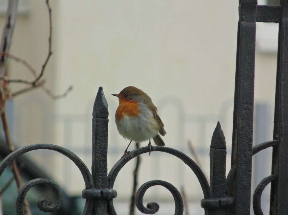 Photograph by Татьяна Стаскевич