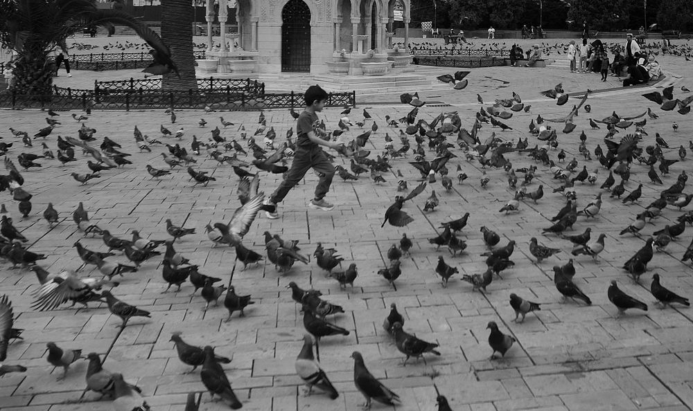 Photograph by Süleyman Ülker