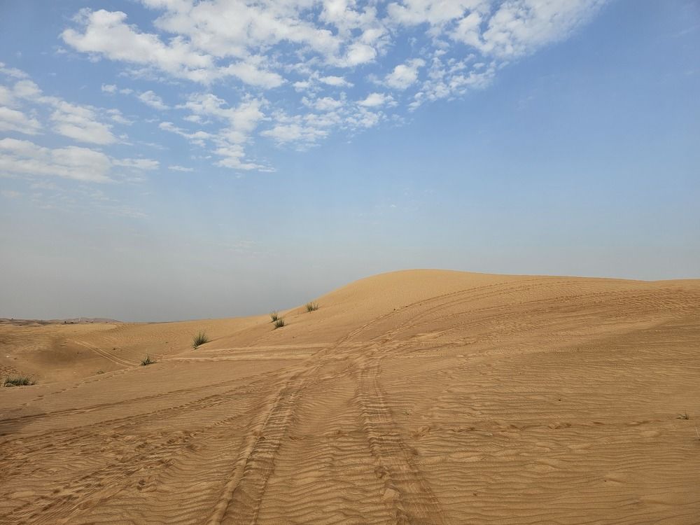 Photograph by Елена Рудкевич