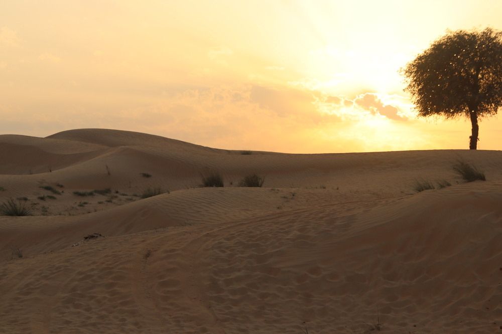 Photograph by Елена Рудкевич