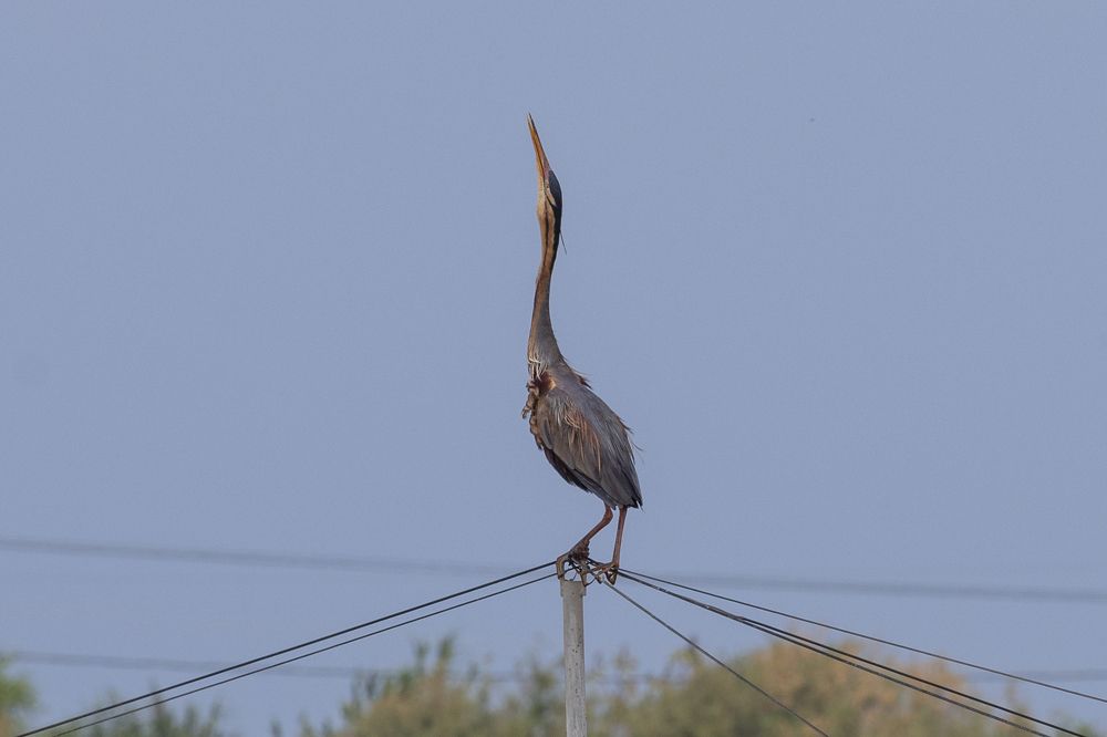 Photograph by Игорь Стретьячук