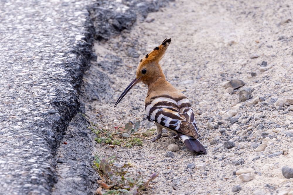 Photograph by Игорь Стретьячук