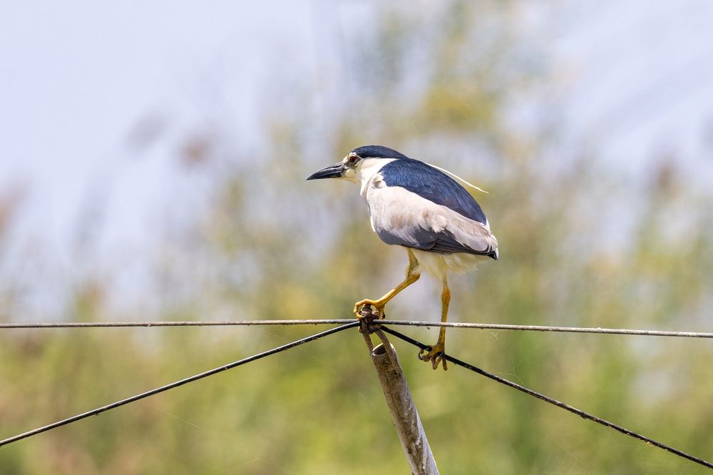 Photograph by Игорь Стретьячук