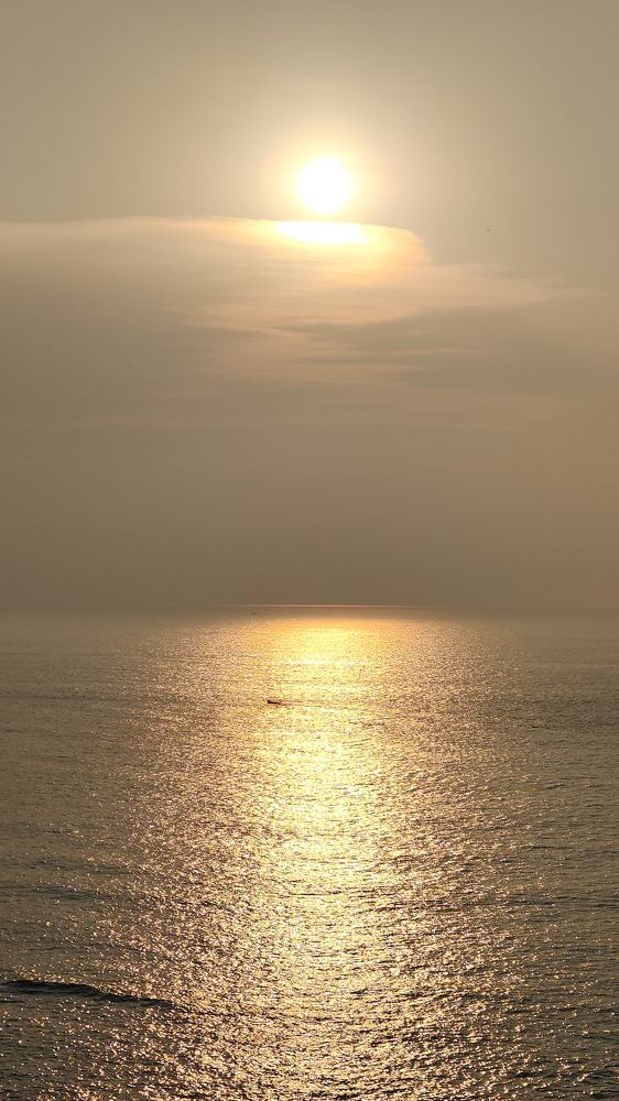 Photo #10864799