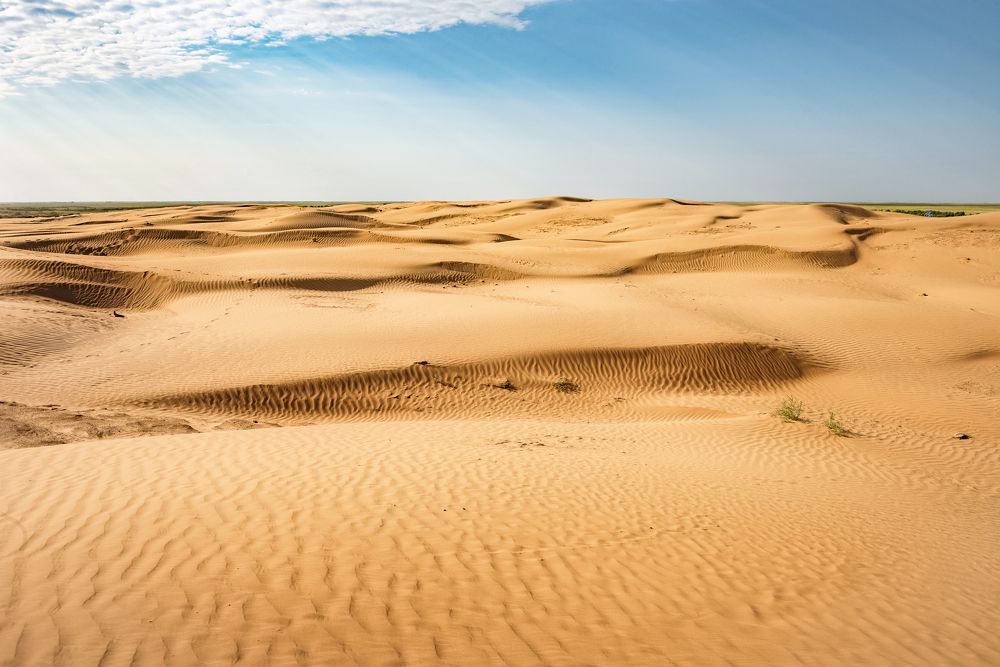 Photograph by Соколова Елена