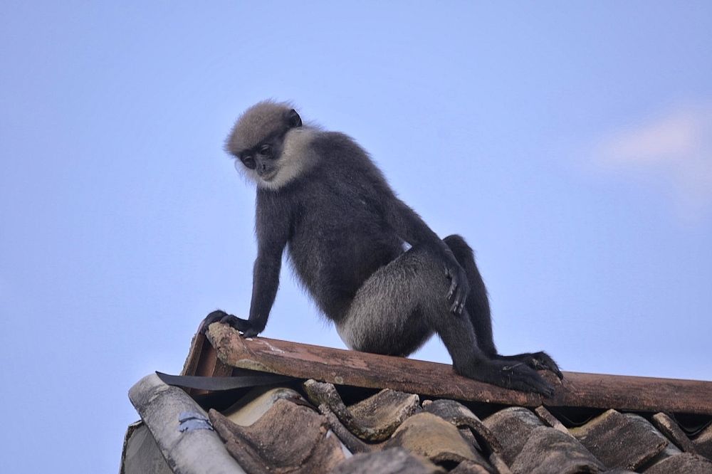 Photograph by Romanov Vyacheslav