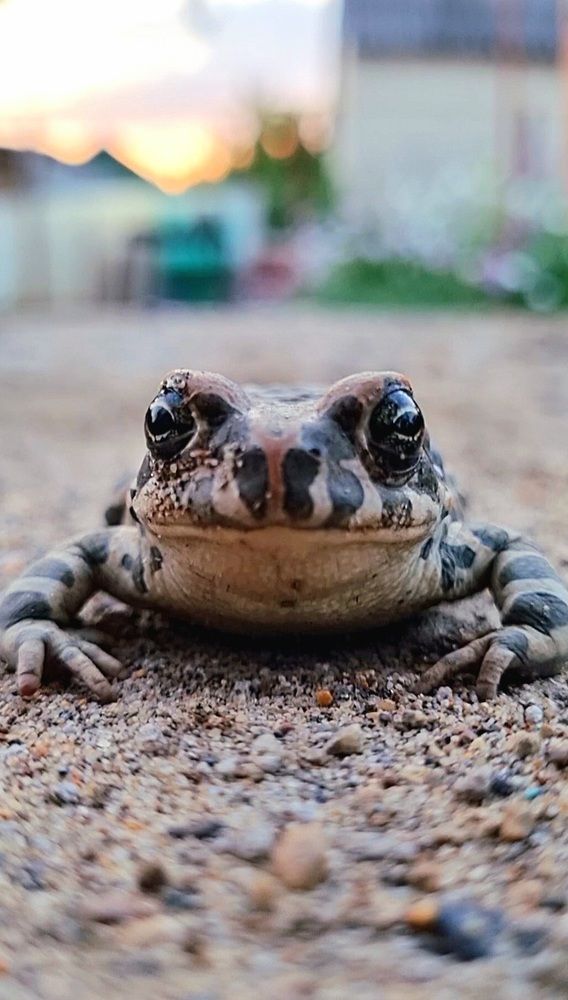Фотография автора Светлана Рыжих