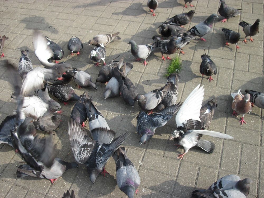 Фотография автора Георгий Самусевич