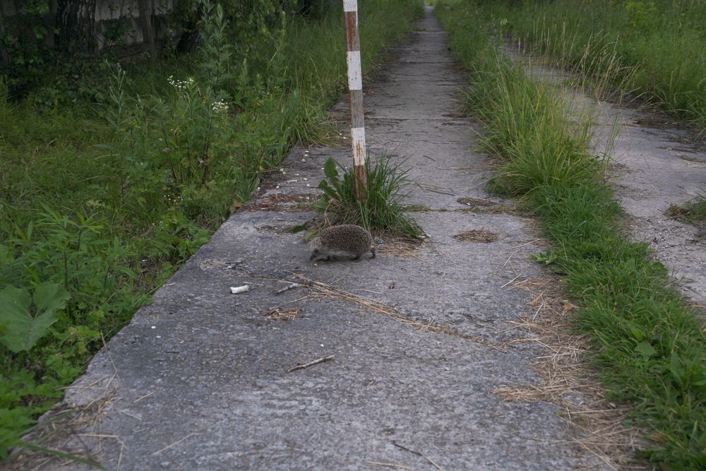 Photograph by Светлана Зайкова