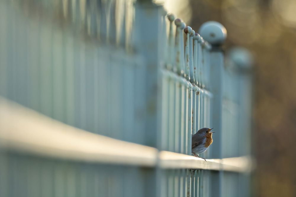 Photograph by Иван Добромыслов