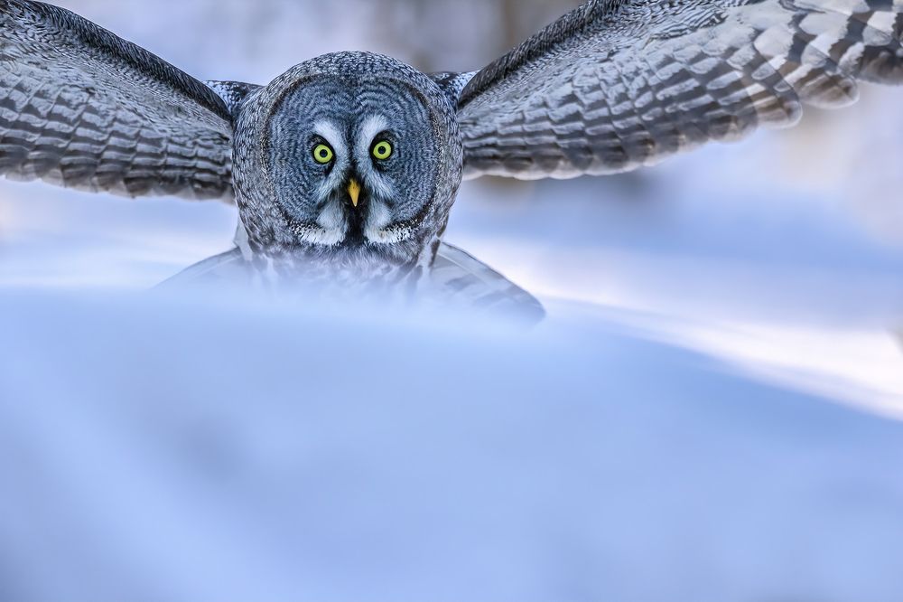 Photograph by Иван Добромыслов