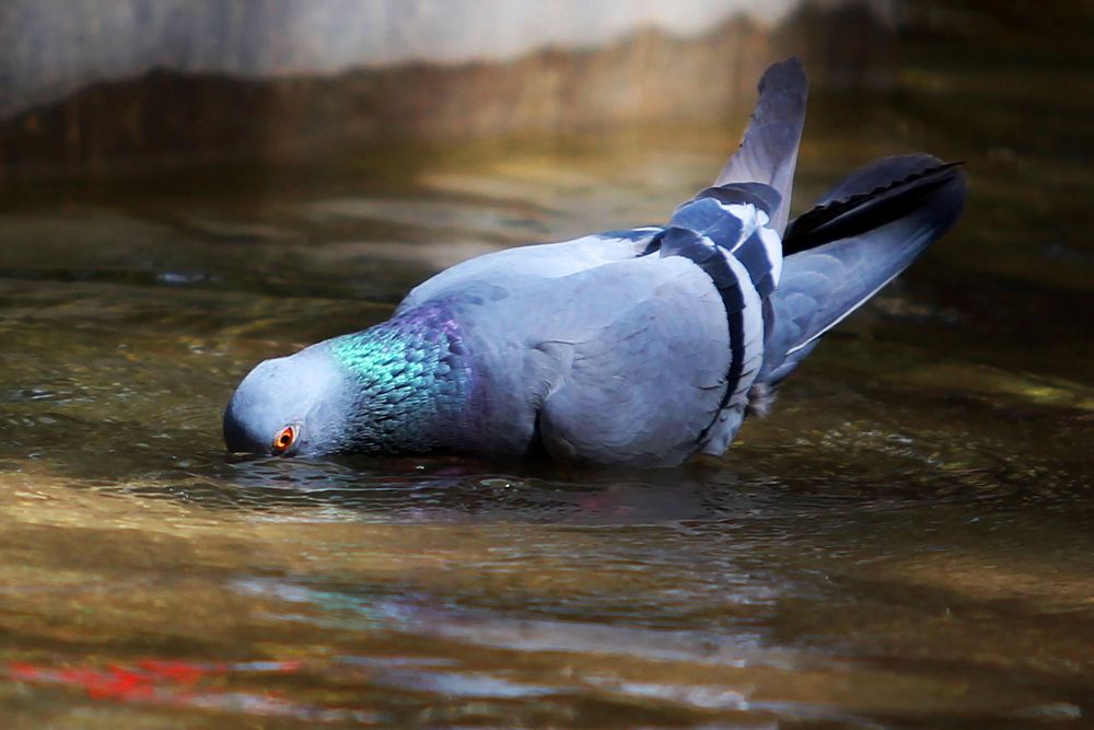 Photograph by mahdi karimi souderjani