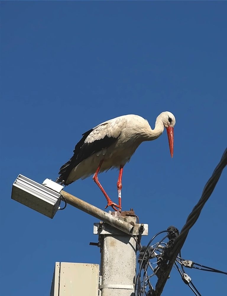 Photograph by Татьяна Слесарева