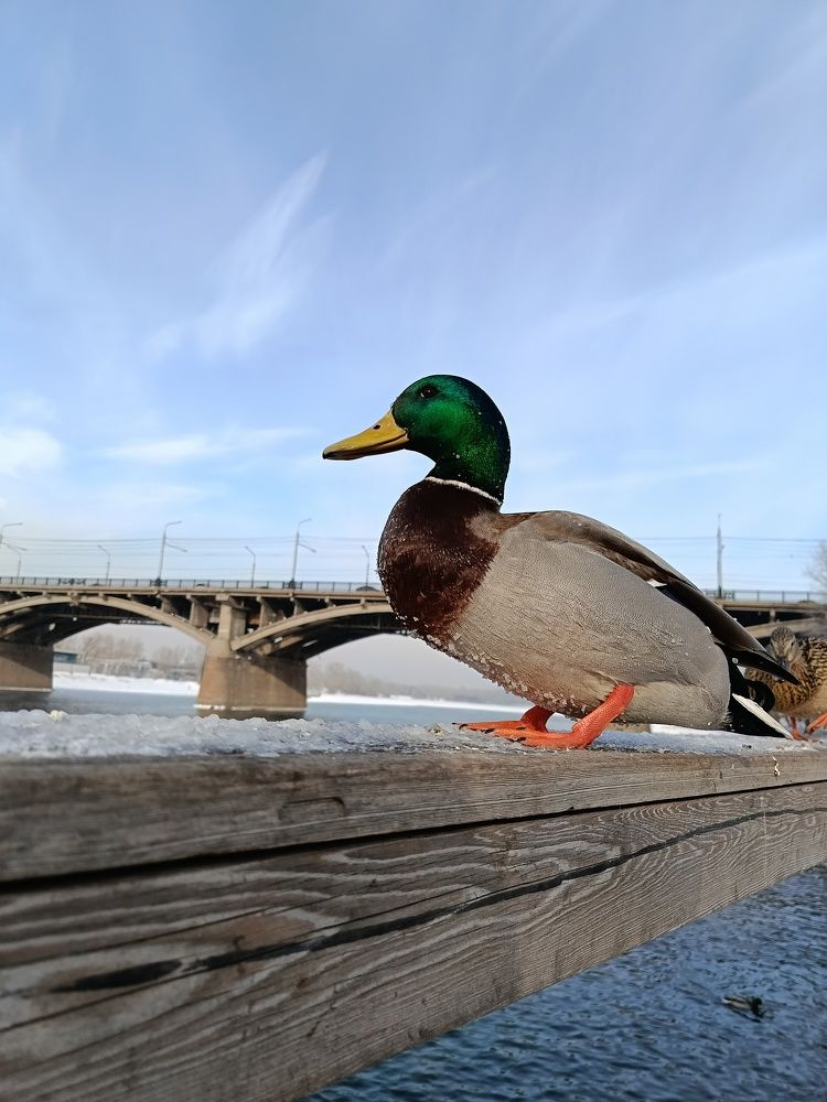 Photograph by Юлия Гагарина