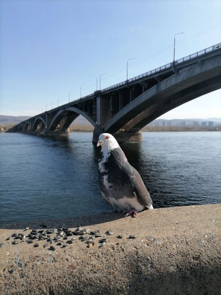 Photograph by Юлия Гагарина