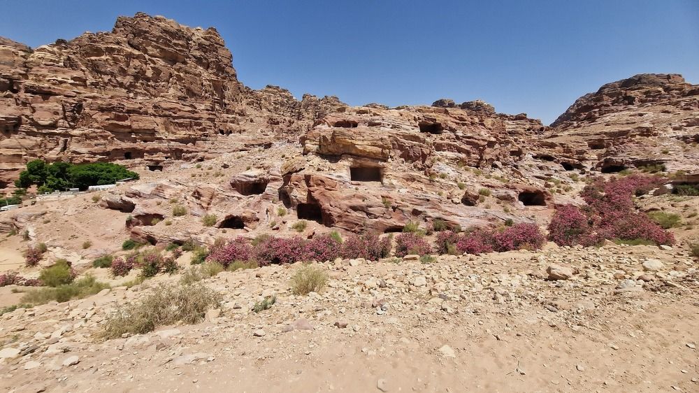 Photograph by Gemelina Opriș