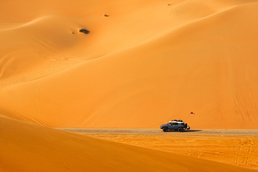 Фотография автора Kimia Shad