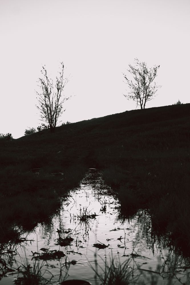 Photograph by Ирина Фатеева