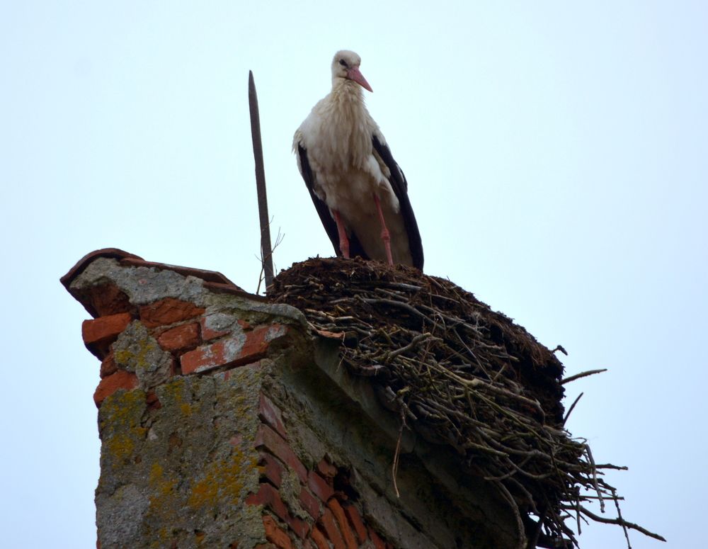 Фотография автора Юрий Рудый