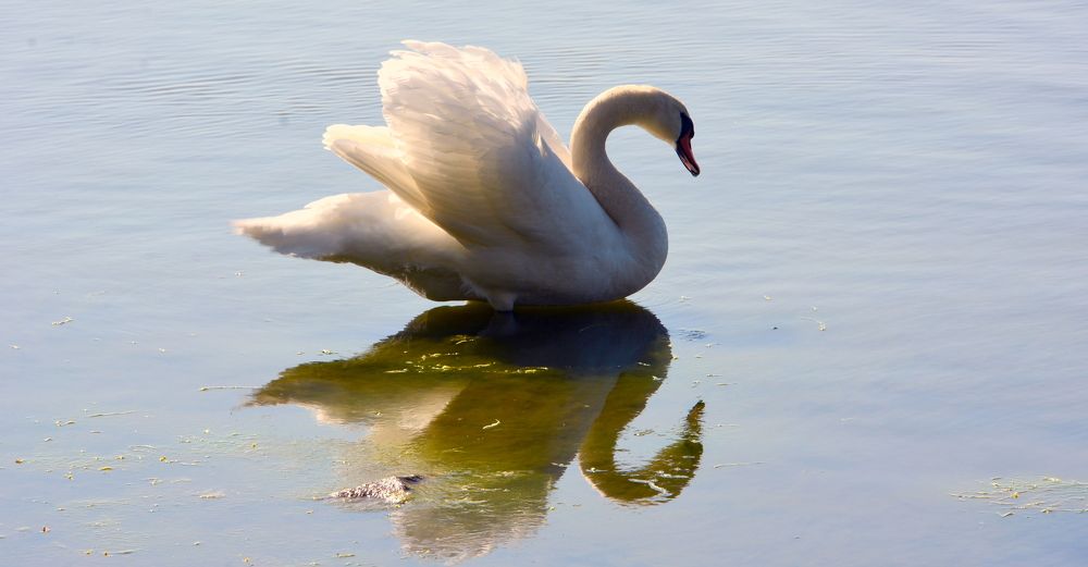 Фотография автора Юрий Рудый
