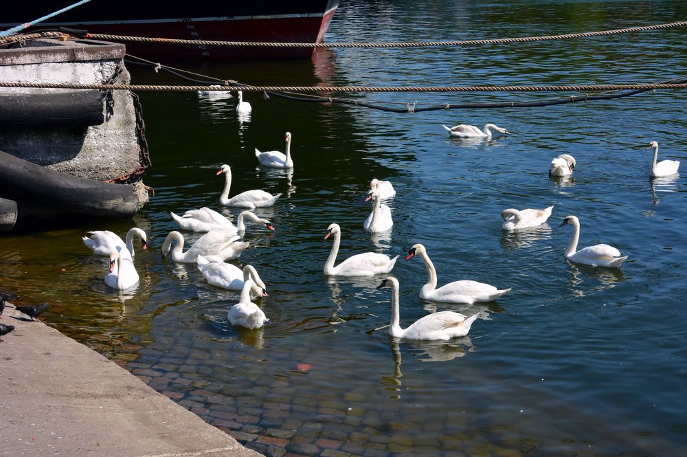 Фотография автора Юрий Рудый