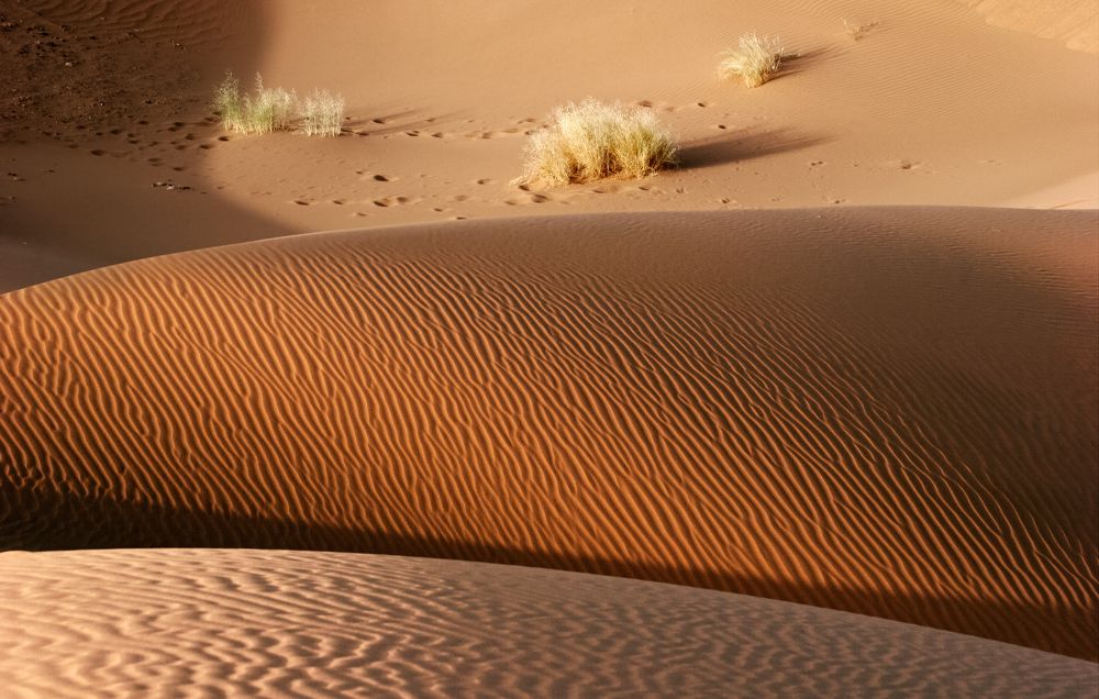 Фотография автора Dmitry Finkel