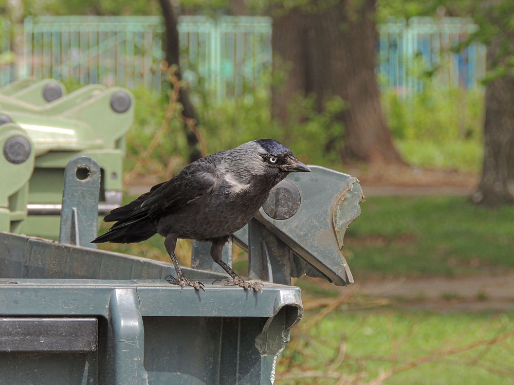 Photograph by Галина Суровицкая