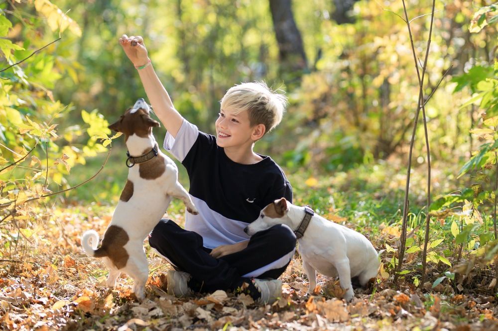 Фотография автора Наталия Комарова