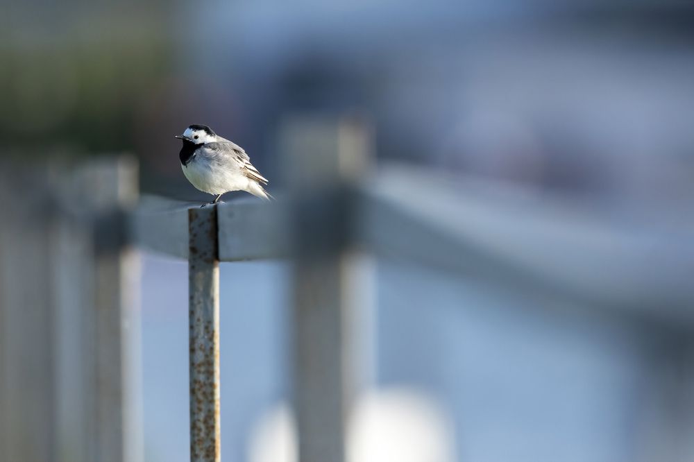 Photograph by Иван Добромыслов