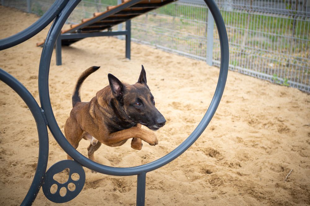 Photograph by Евгений Леонтьев