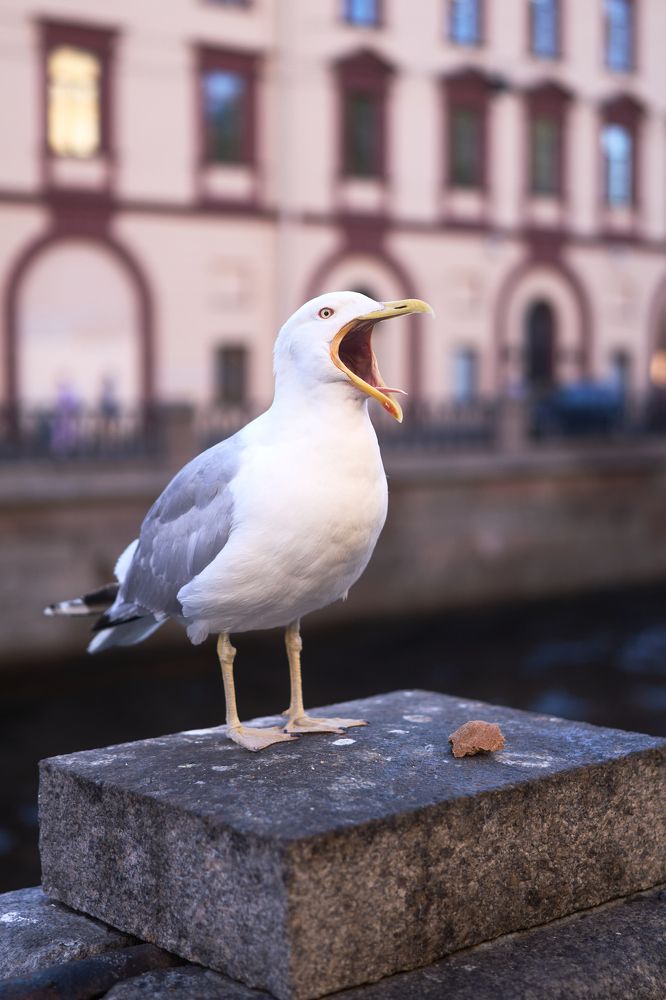 Photograph by Сергей Горшенин