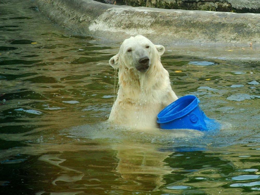 Photograph by Ольга Козлова