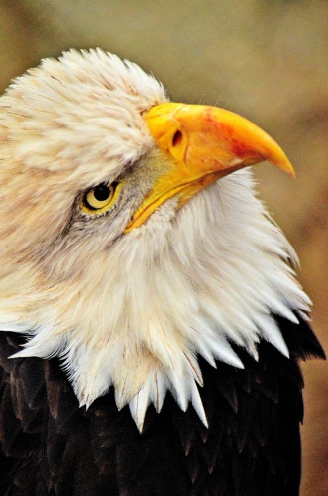 Photograph by Леонид Владимирович