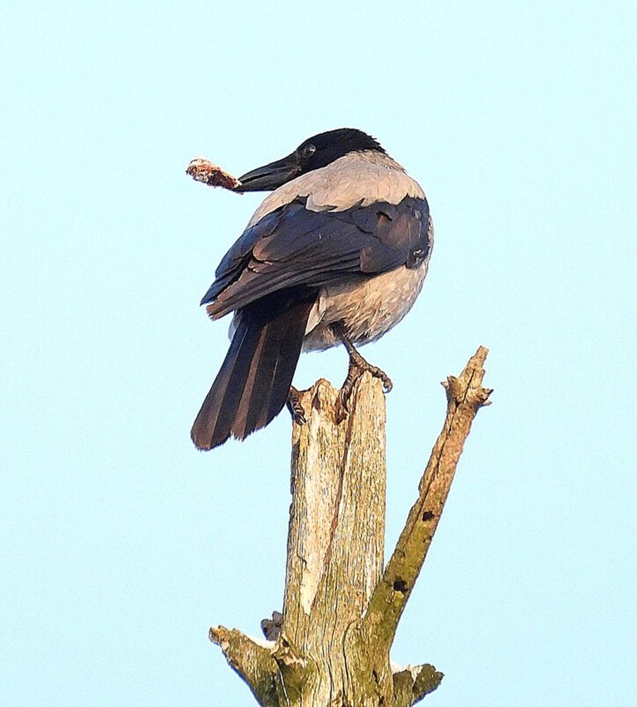 Photograph by Леонид Владимирович