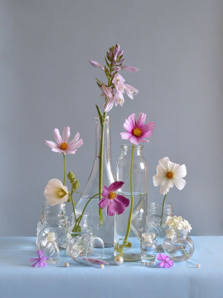 Photograph by Дина Полухина