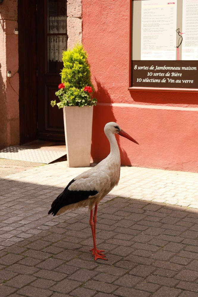 Photograph by Наталья Посашко