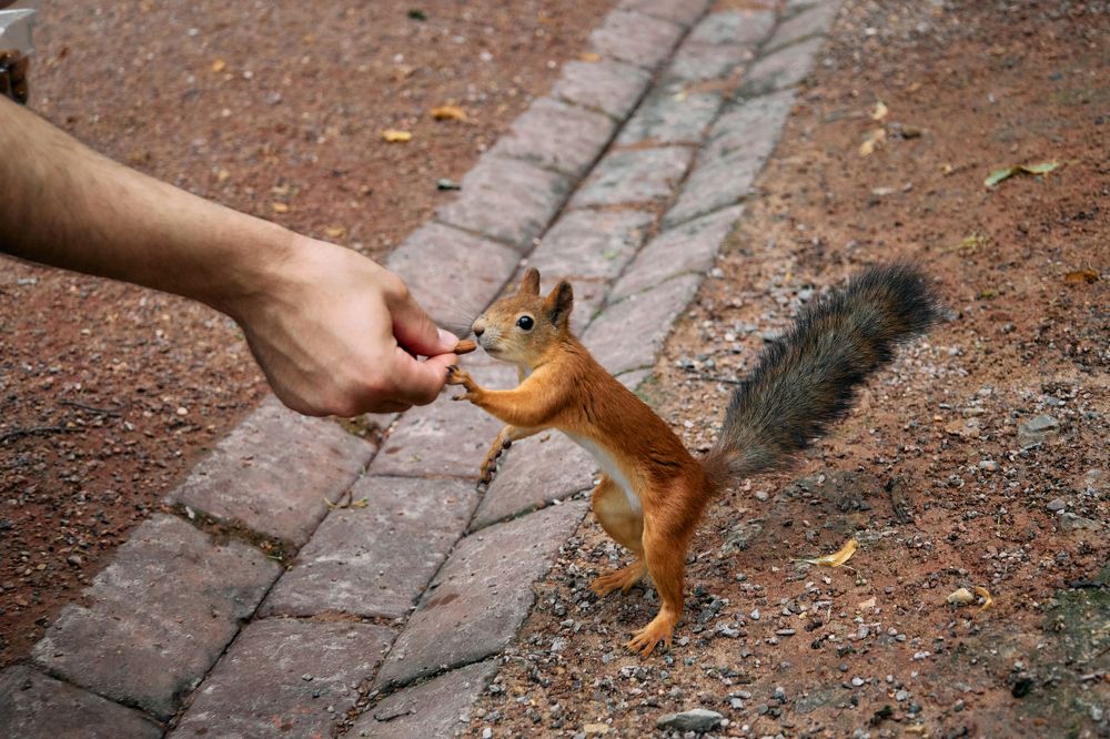 Photograph by Женя Жданова