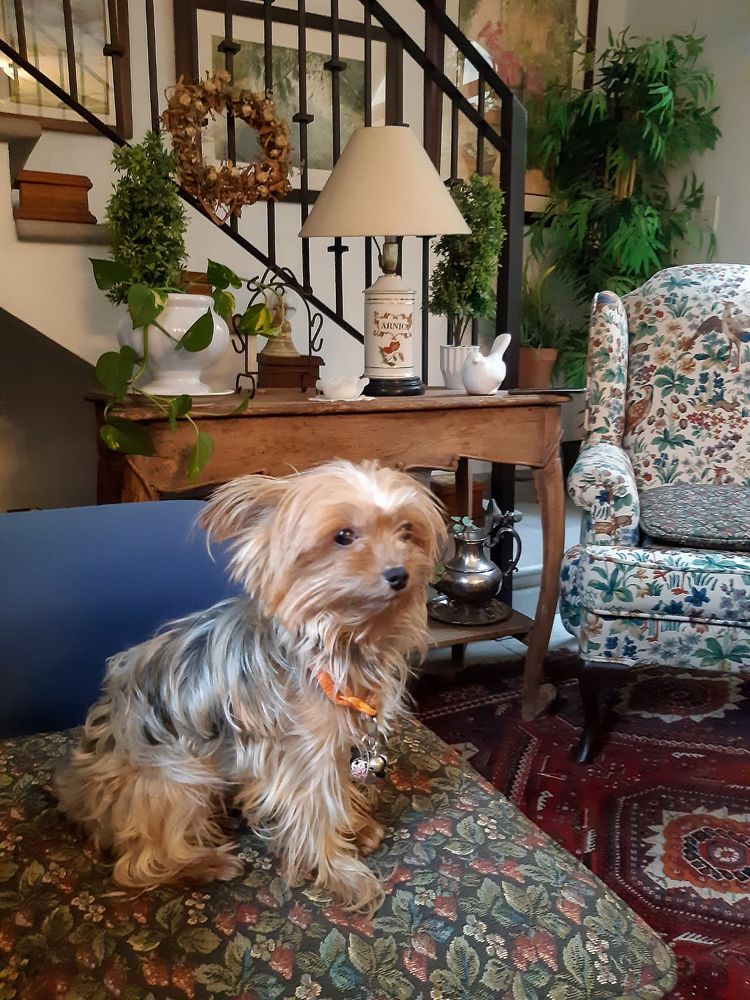 Photograph by JORGE DORANTES