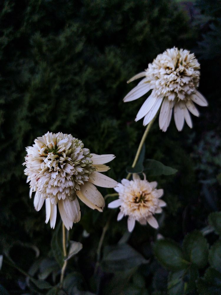 Photograph by Юлия Волгина