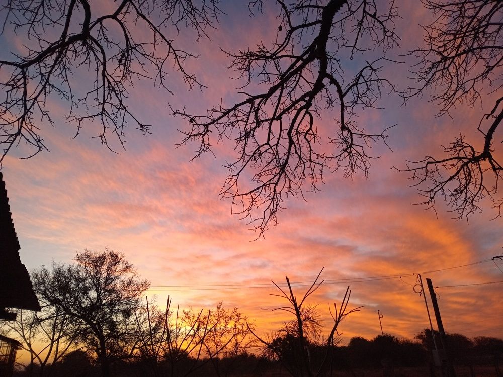 Photo #10865570