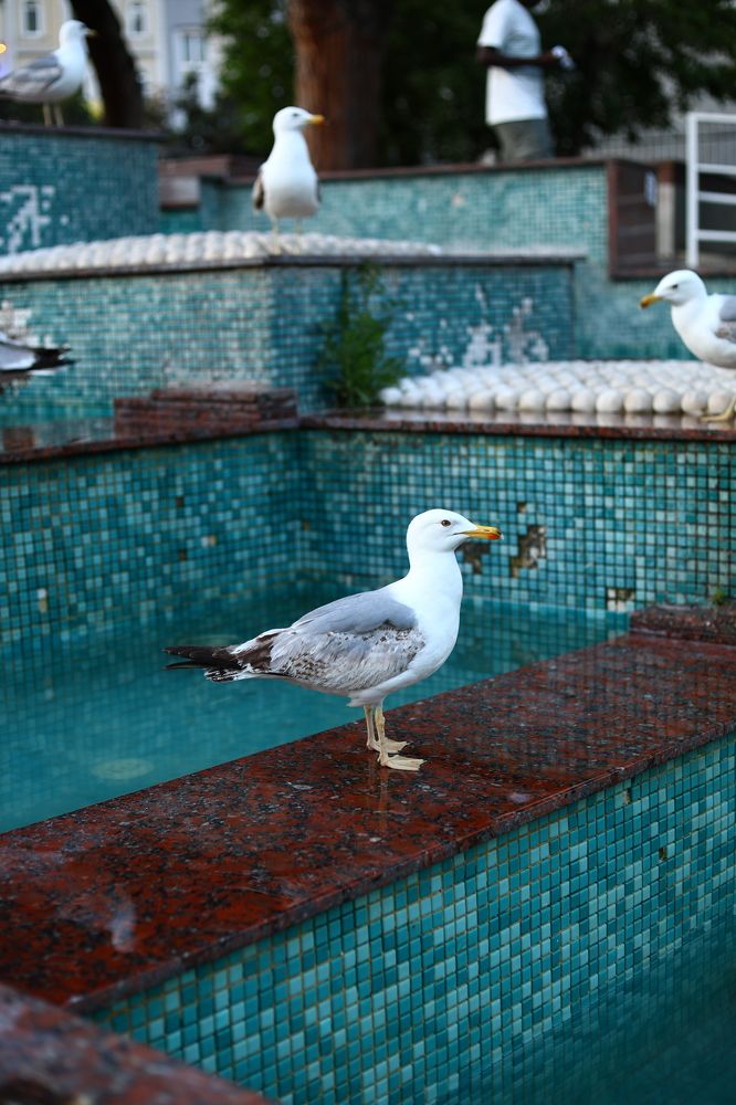 Photograph by Наталья Малышева