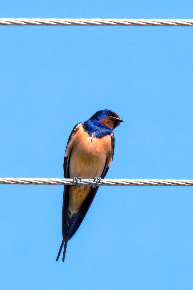 Фотография автора Ketov Vladimir