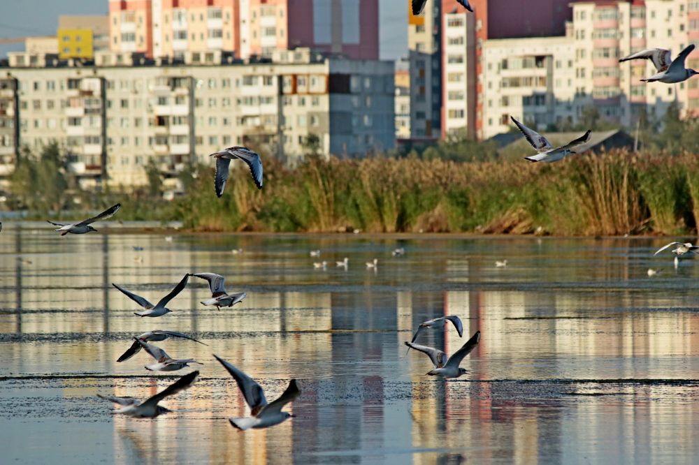Photograph by Александр Велигура