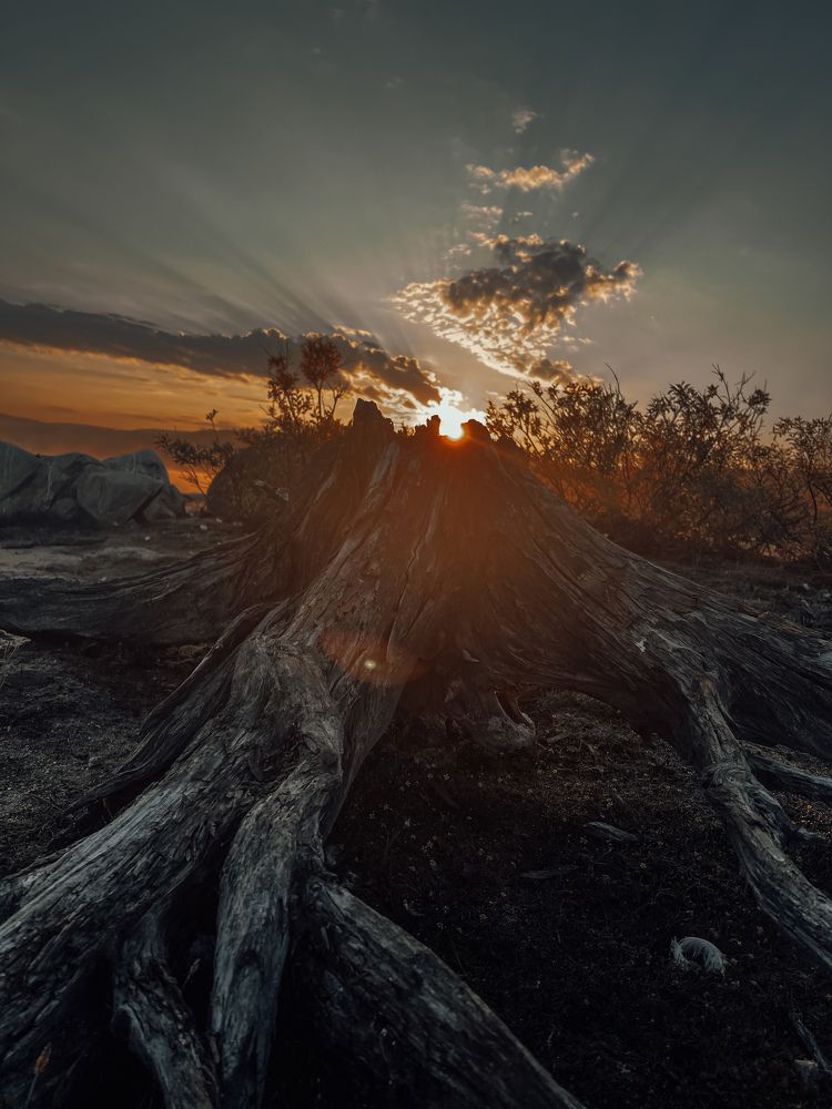 Фотография автора Komarov Svyatoslav