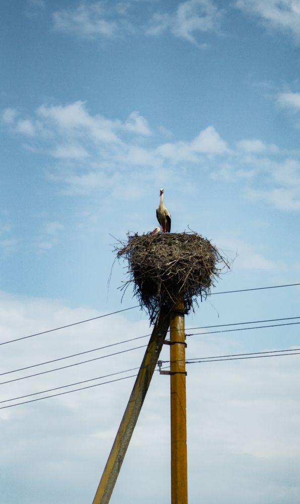 Фотография автора Геннадий Ломеко